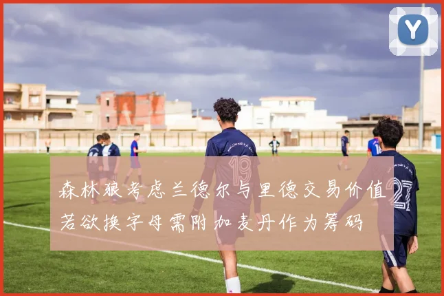 森林狼考虑兰德尔与里德交易价值若欲换字母需附加麦丹作为筹码