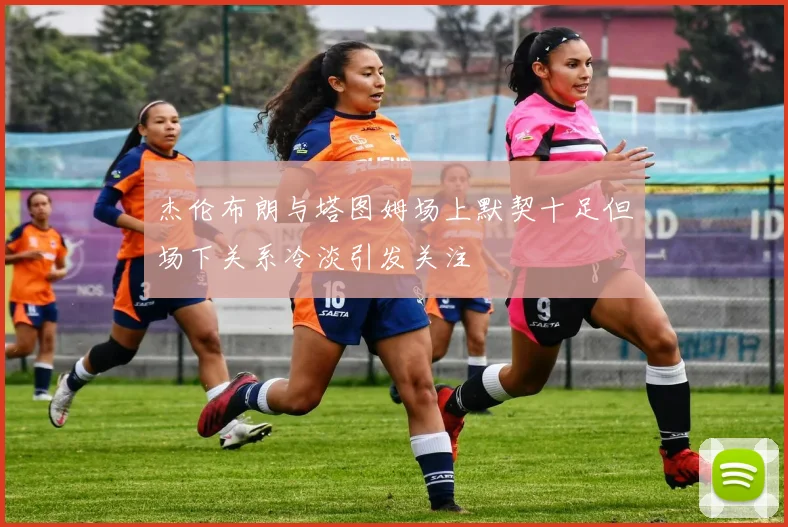 杰伦布朗与塔图姆场上默契十足但场下关系冷淡引发关注